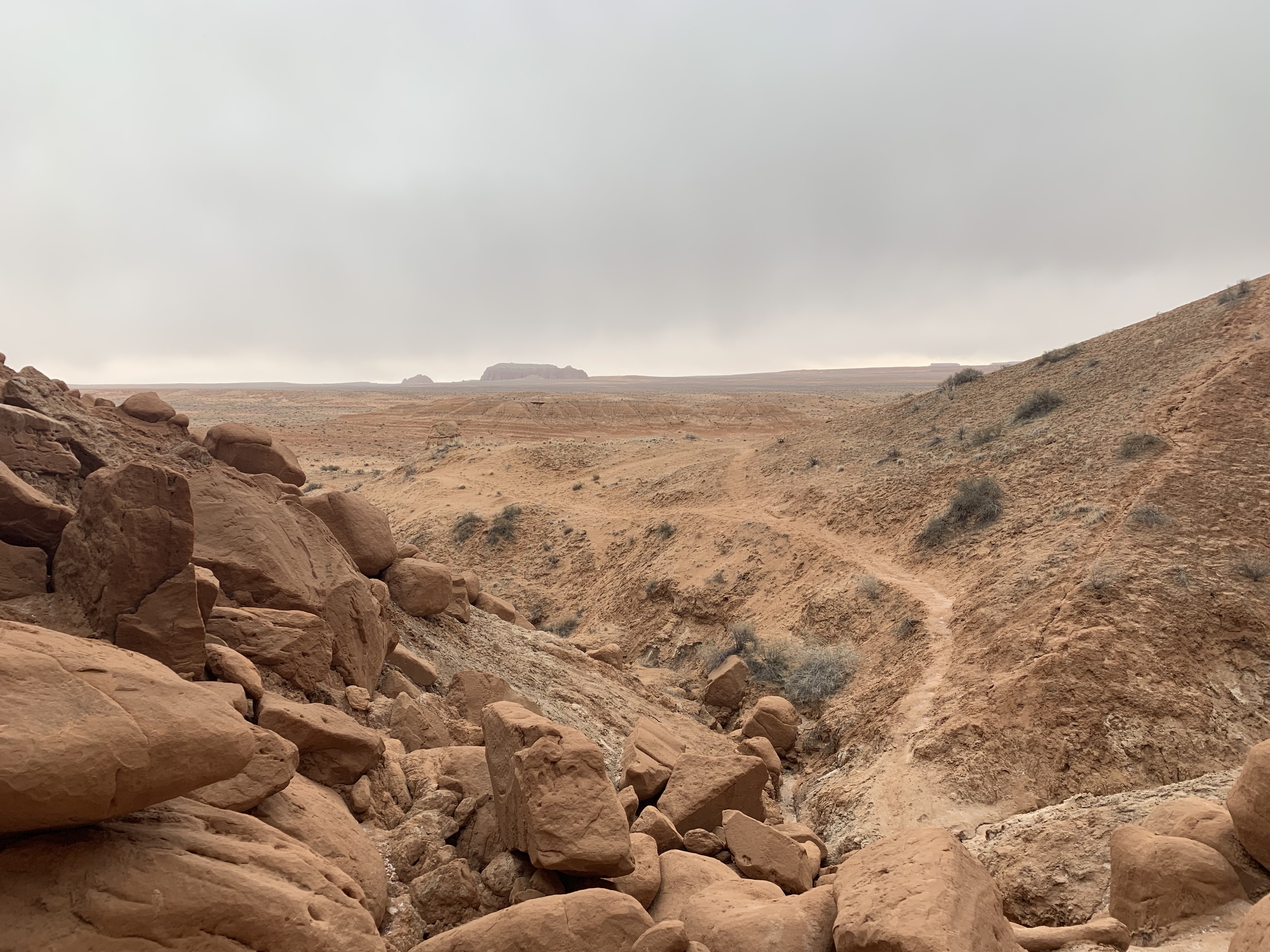 Desert, Shrubs, Hike