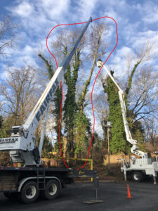 crane, truck, tree