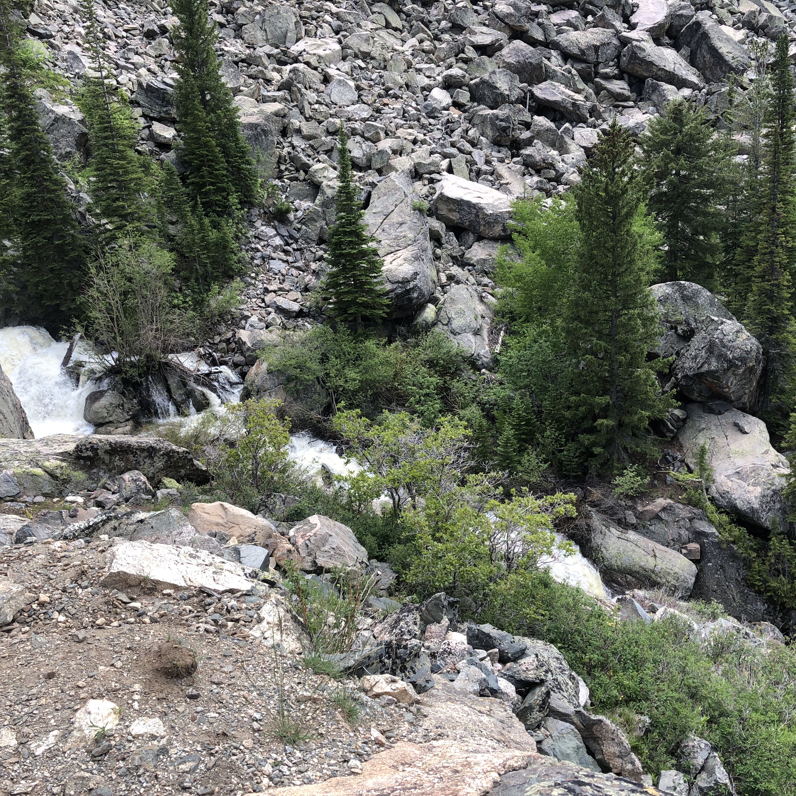 Views to the creek from the trail on the way to the 2nd falls.