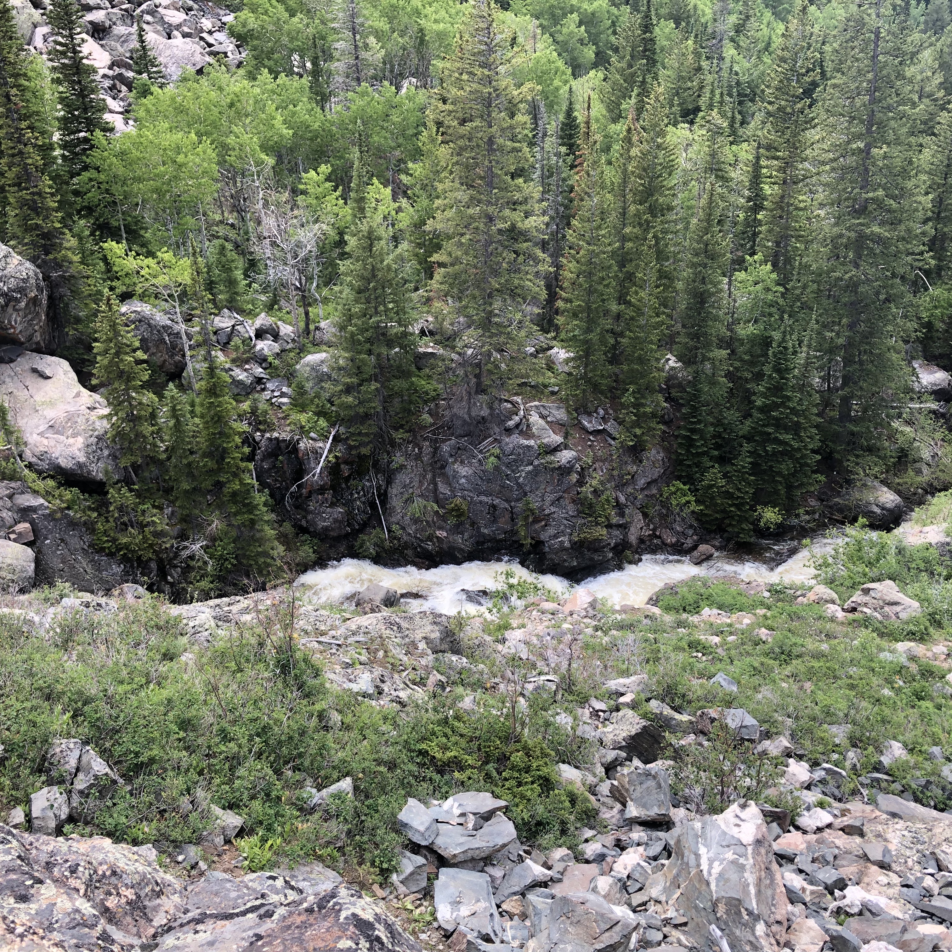 Views of Fish Creek from the trail on the way to the 2nd falls.