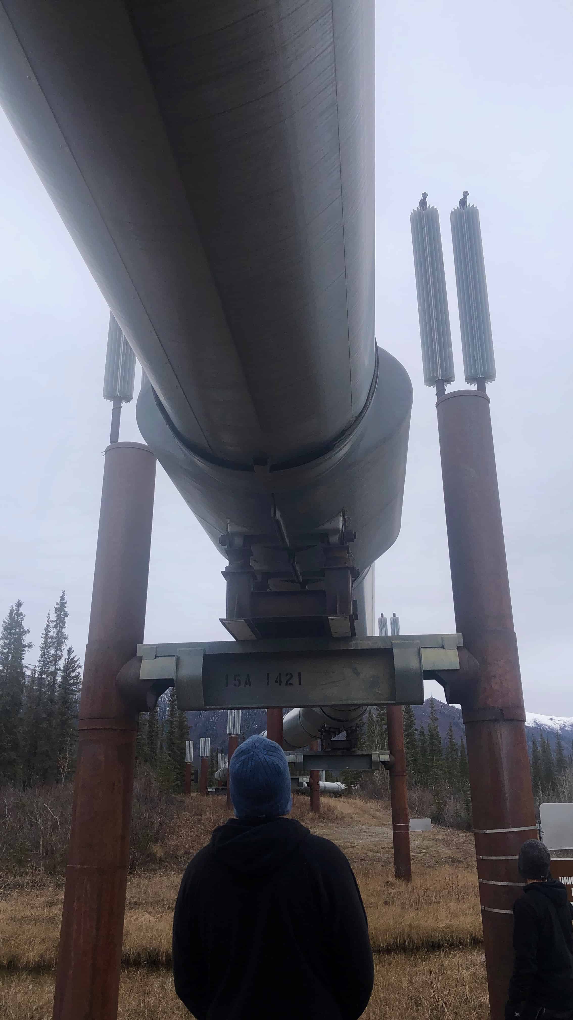 Trans-Alaska Pipeline with perspective