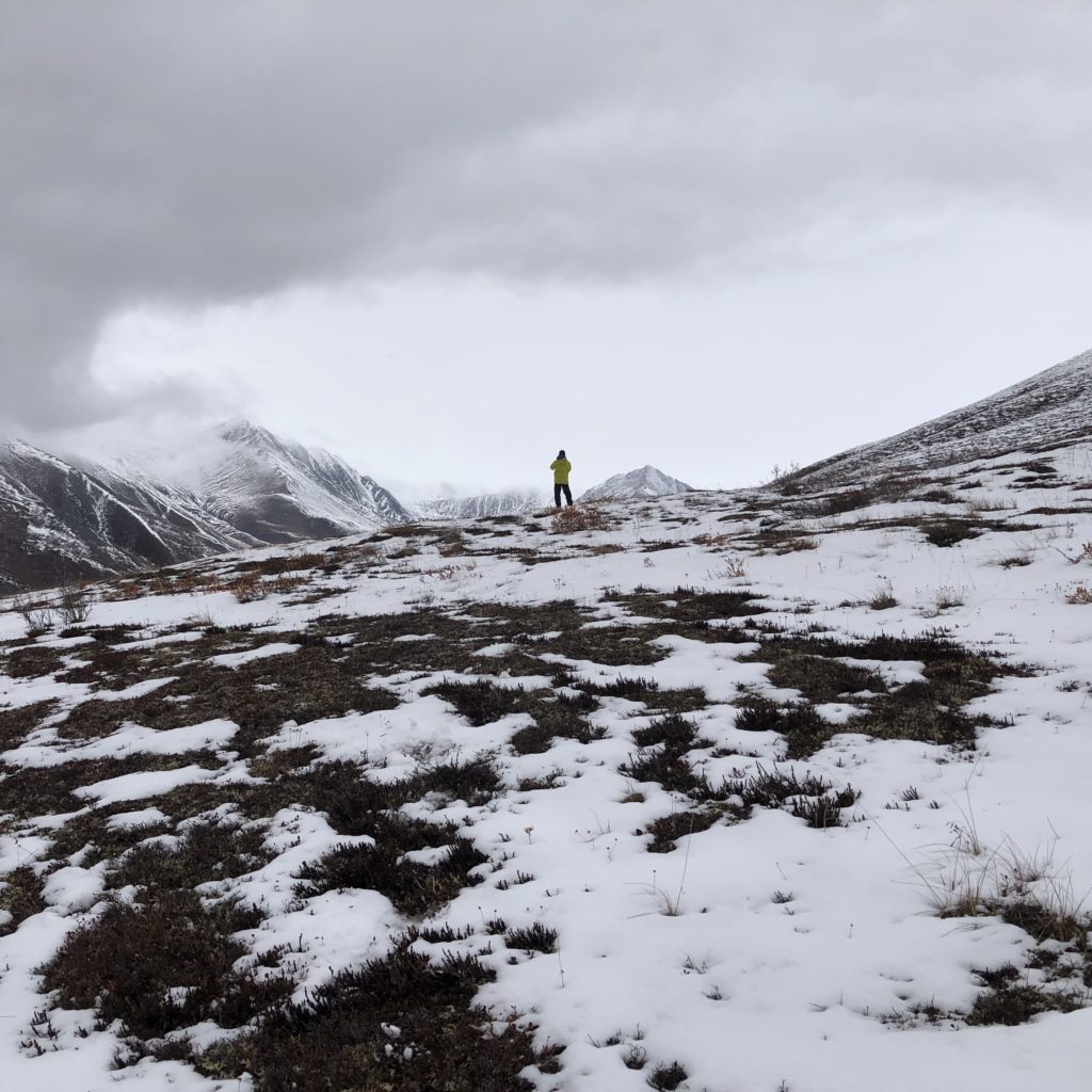 James W. Dalton Highway - Vic's Tree Service - Alaska Wilderness