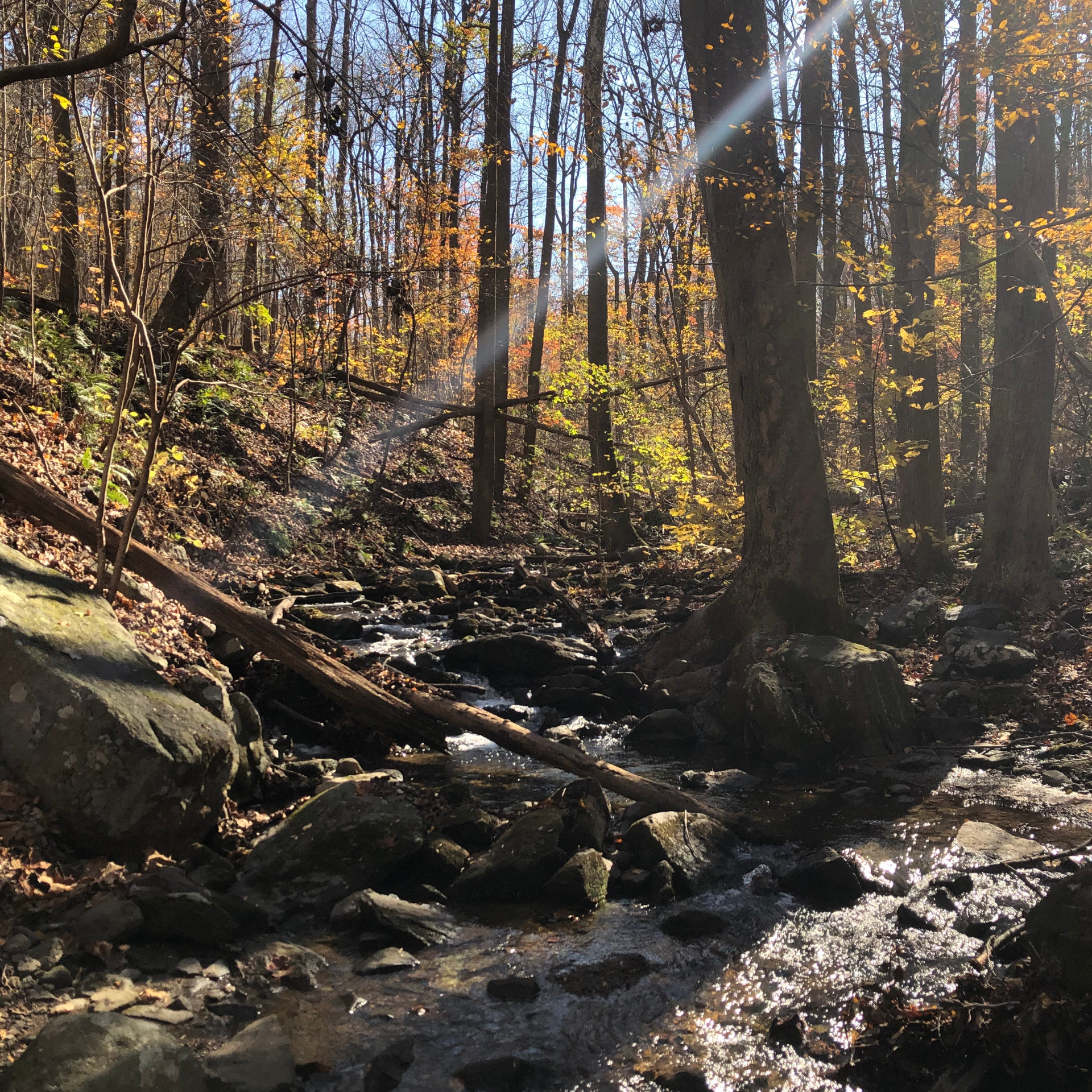 One of many creeks along the trail.