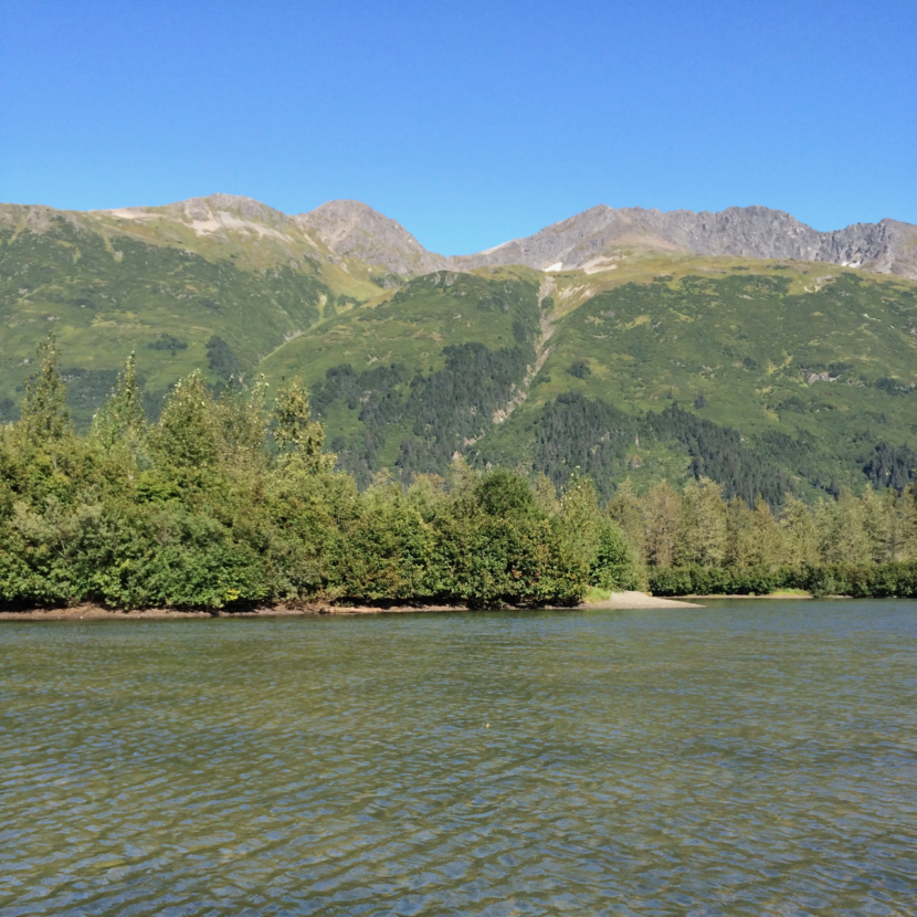 Example of Vegetation Changes Towards the Tree Line