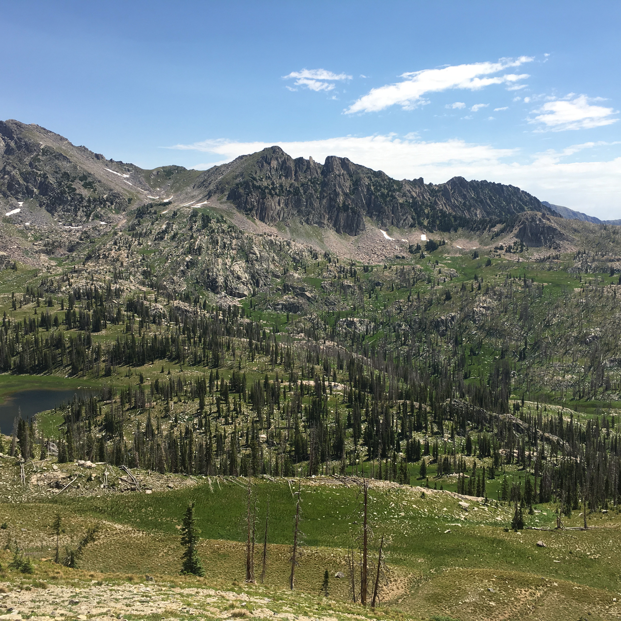 Gradual loss of vegetation to timberline. 