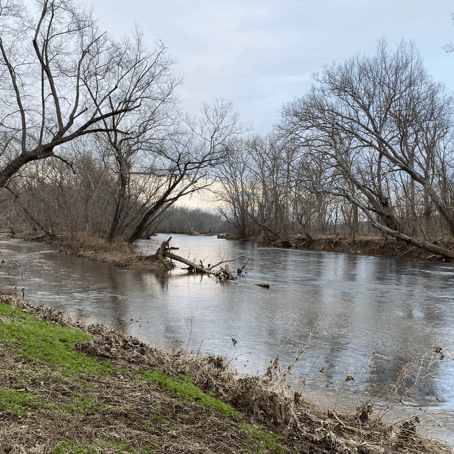 Tree Identification Resources